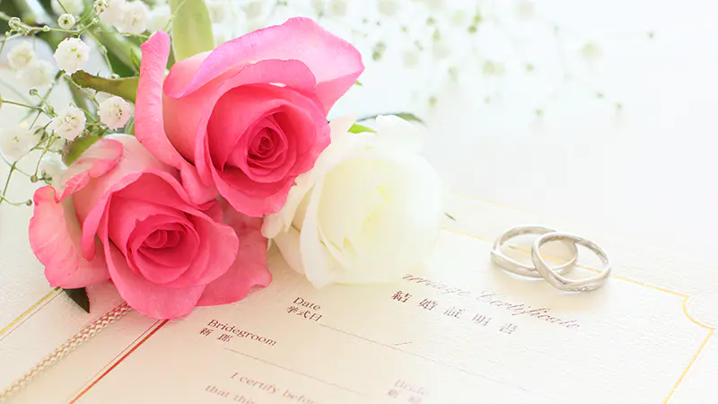 IBJ登録会員データ